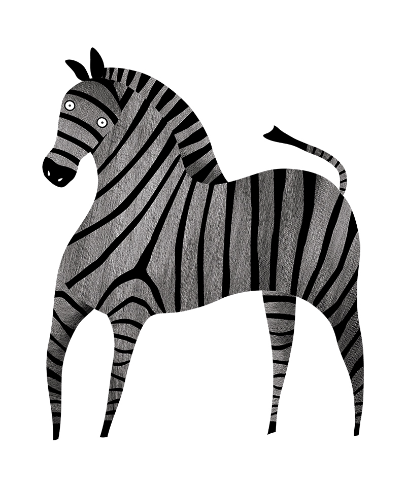 Zebra of book The Animals on My Books